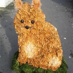 fwthumbFuneral (38).jpg